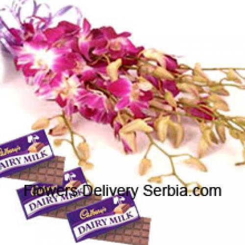 Niedliche rosa Orchideen mit Cadbury-Schokolade