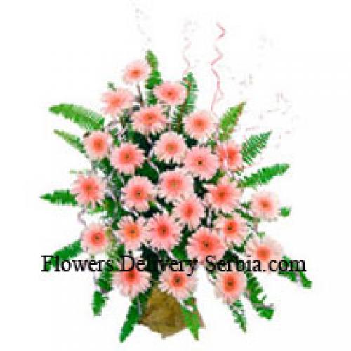 25 Cute Pink Gerberas