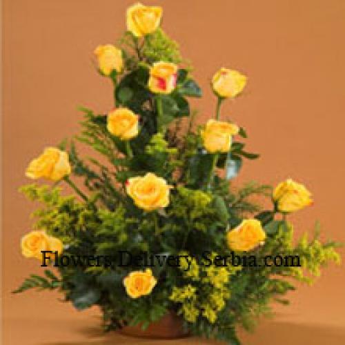 11 Charming Yellow Roses