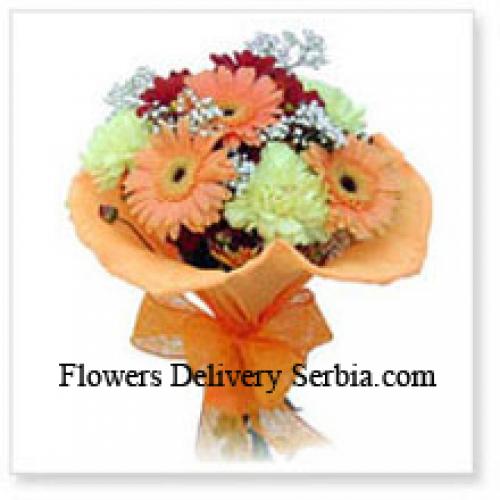 11 Assorted Cute Gerberas