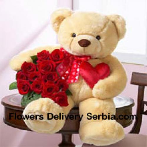 11 Cute Roses with 24 Inch Teddy